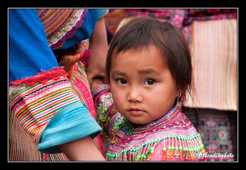 33 Hmong's portraits